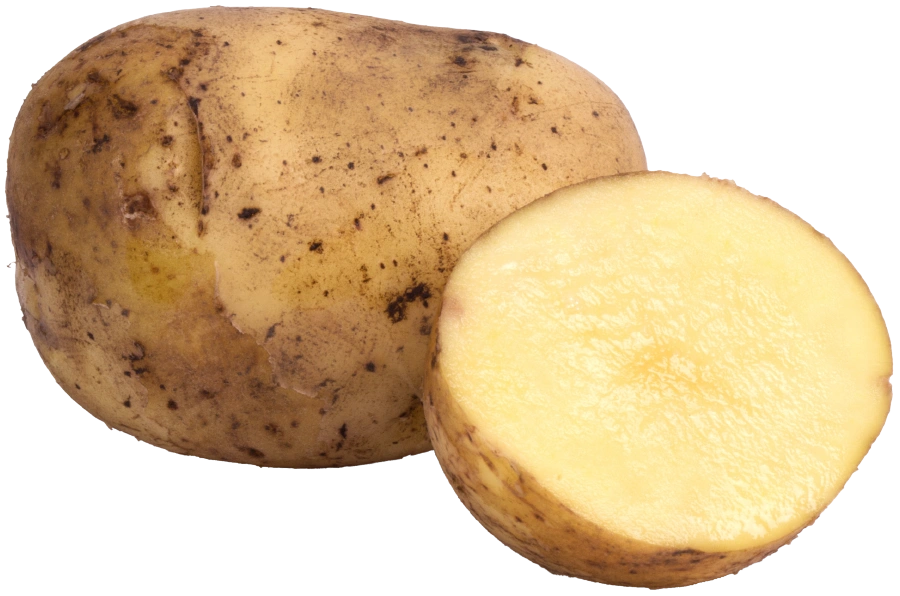 kartoffel-voll.webp